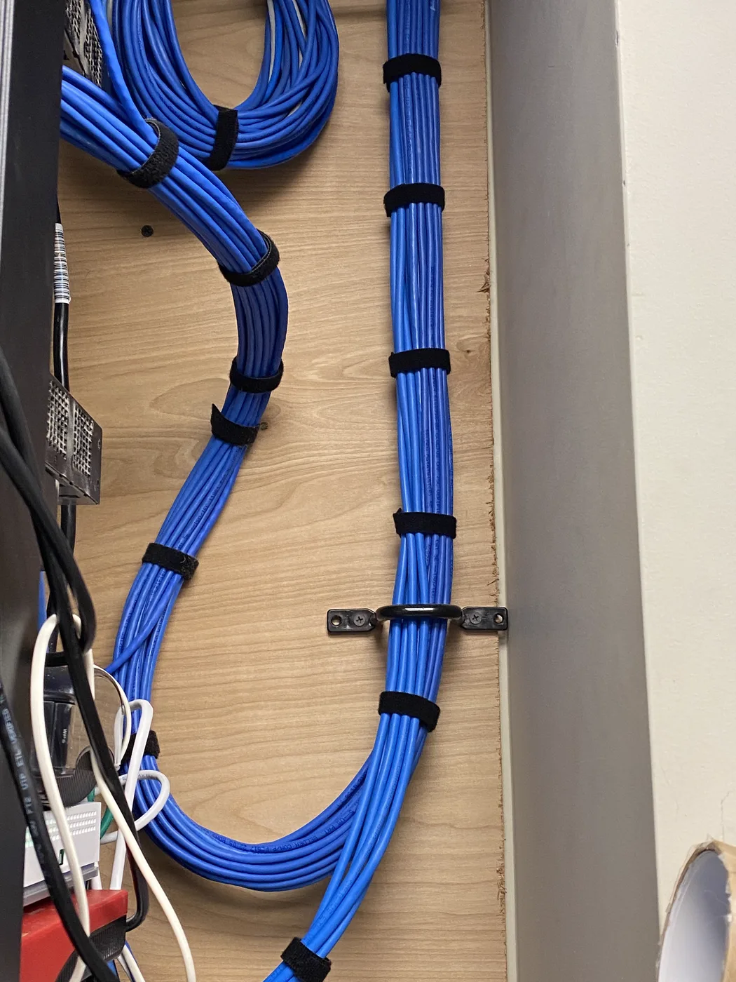 Dressed blue Cat6 cable loom by Sovun Technologies