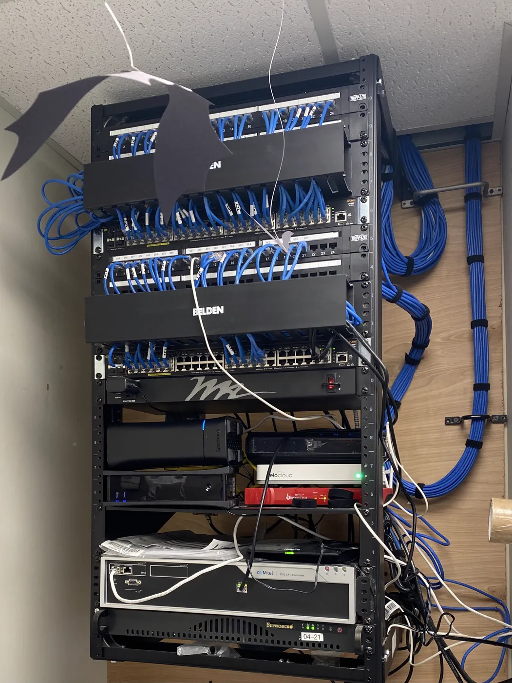 Wall rack with blue Cat6 cabling and switches